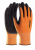 pETRAX.png